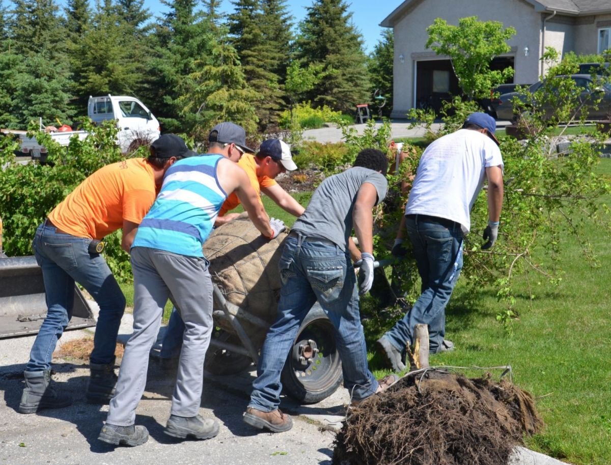Landscaping Labourer